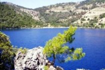 sarsala Gocek